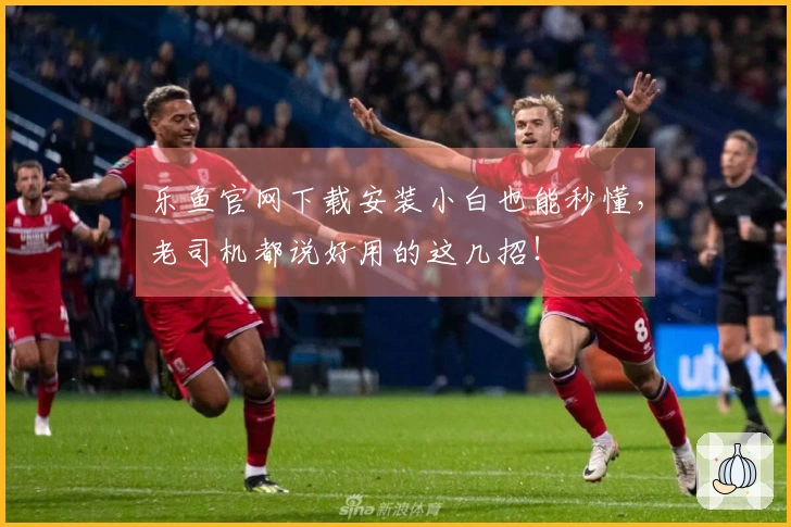 乐鱼官网下载安装小白也能秒懂，老司机都说好用的这几招！