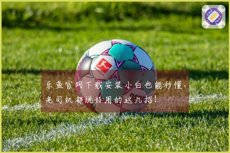 乐鱼官网下载安装小白也能秒懂，老司机都说好用的这几招！